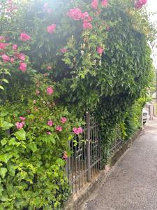Apartman Lili