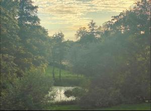 Luxury, spacious apartament with two bedrooms and balcony