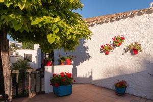 Casa Rural La Ermita