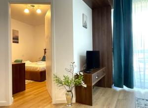 Sinaia Walter Apartment w Pool and Free Parking