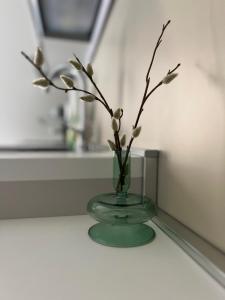 Cozy home close to the city center