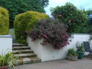 Glanrhyd Clarbeston Road, Narberth