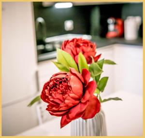 Appartements Appart T3 Luxe Douvaine : photos des chambres