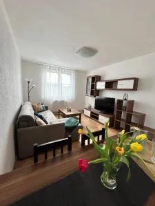 Apartmán Žižka - Frydava