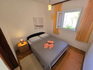 Indys Sunny Apartment