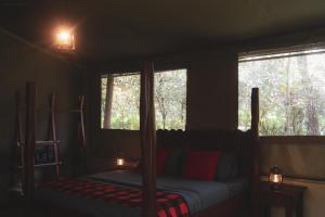 Drunken Elephant Mara