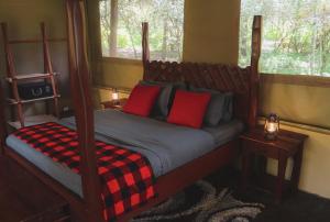 Drunken Elephant Mara