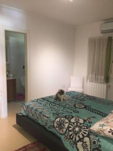 Ap a 100m da Rua Coberta