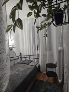 Apartament Diselvio