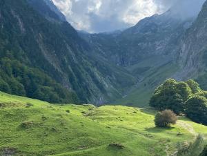 Appartements Newly Renovated Ground Floor Apartment close to Thermes : photos des chambres