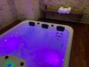 Maisons de vacances La Villa Authentique - Jacuzzi, babyfoot : photos des chambres