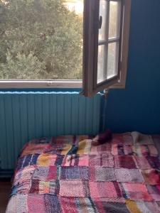 Sejours chez l'habitant Colocation dans maison de 100 m2 : photos des chambres