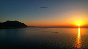 DOLCE VITA holiday home img65