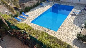 Pafia Blue-Diamond, Studio, Paphos