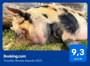 Chambre d'Hôtes chez Gustave & Compagnie - Choussy