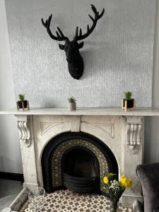 Lowther Apartment - 2 Bedrooms - Sleeps 4