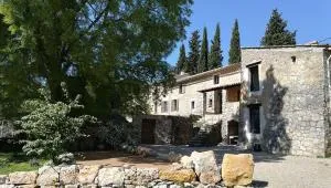 Mas Osmeea - 罗科福尔雷潘