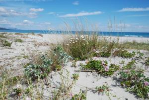 Casa ARCU DE CHELU img18