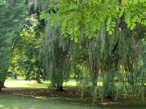 Appartement Séjour Confort, Clim, Piscine