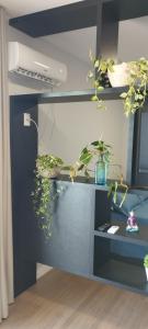 Flat Santa Cruz do Sul III