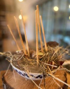 Penzion a bistro Starý kopec