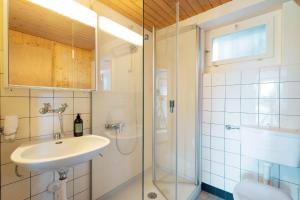 Apartment im Chalet Speer