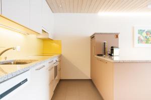 Apartment Bischofberger D20