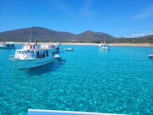 Newly built Holiday House in Teulada img17