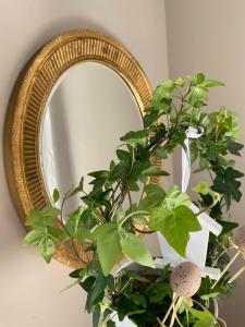 Apartamenty sudeckie nad zalewem III