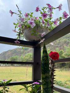 NHÀ CỦA CHI - HOMESTAY Food & Coffee