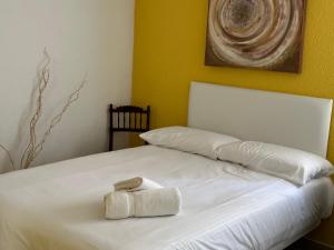 Mirador Oceanic Observatory