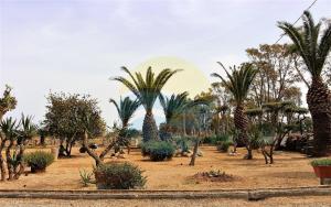 Pagall - Casa rural con piscina privada y cerca la playa de Riumar - Deltavacaciones