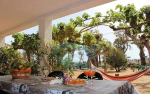 Pagall - Casa rural con piscina privada y cerca la playa de Riumar - Deltavacaciones