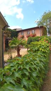 Ferienhaus in der historischen Altstadt von Angermünde