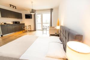 Walter Studio Sinaia with Balcony and Private Parking