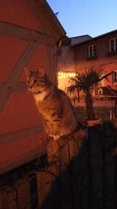 Ferienhaus in der historischen Altstadt von Angermünde