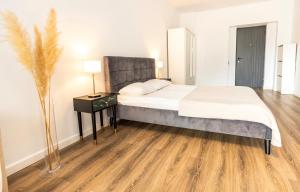 Walter Studio Sinaia with Balcony and Private Parking