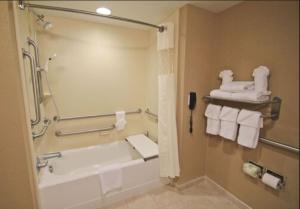 King Room with King Bed - Non-Smoking room in Hampton Inn Hampton-Newport News