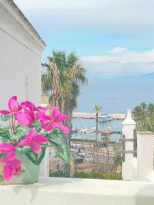 Euploia Apartment - Lacco Ameno