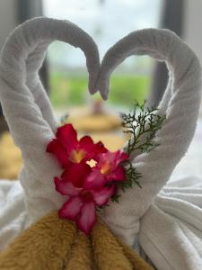 Pousada Hércules Beach Paradise