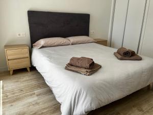 Ámplio apartamento playa La Mata Torrevieja