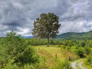 Eula Mae | Ocoee River Area