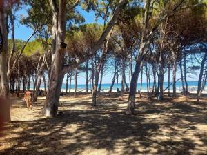 Villetta San Giovanni 150m dal mare img13