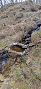 DivčiNovaB2 PREMIUM