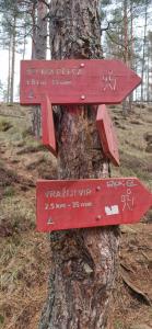 DivčiNovaB2 PREMIUM