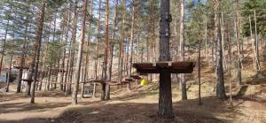 DivčiNovaB2 PREMIUM