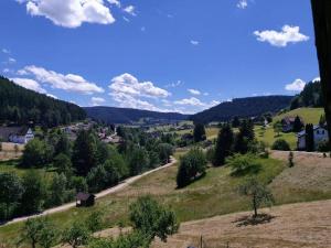 obrázek - Wohnung im Tonbachtal/ Baiersbronn mit Traumausblick