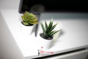 Tiffanys Studio - Lugano in Style -By EasyLife Swiss