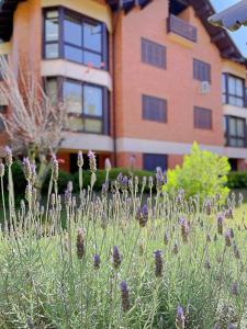 Apto luxo Gramado 2 quartos perto rua coberta