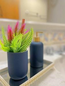 Apto luxo Gramado 2 quartos perto rua coberta